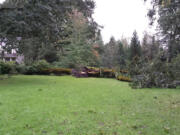 Sunday's weather spelled doom for three oak trees at the Battle Ground home of Bruce and Linda Chevalier. The trees were 80 to 100 years old, Bruce said. Another oak in that cluster fell a year ago.