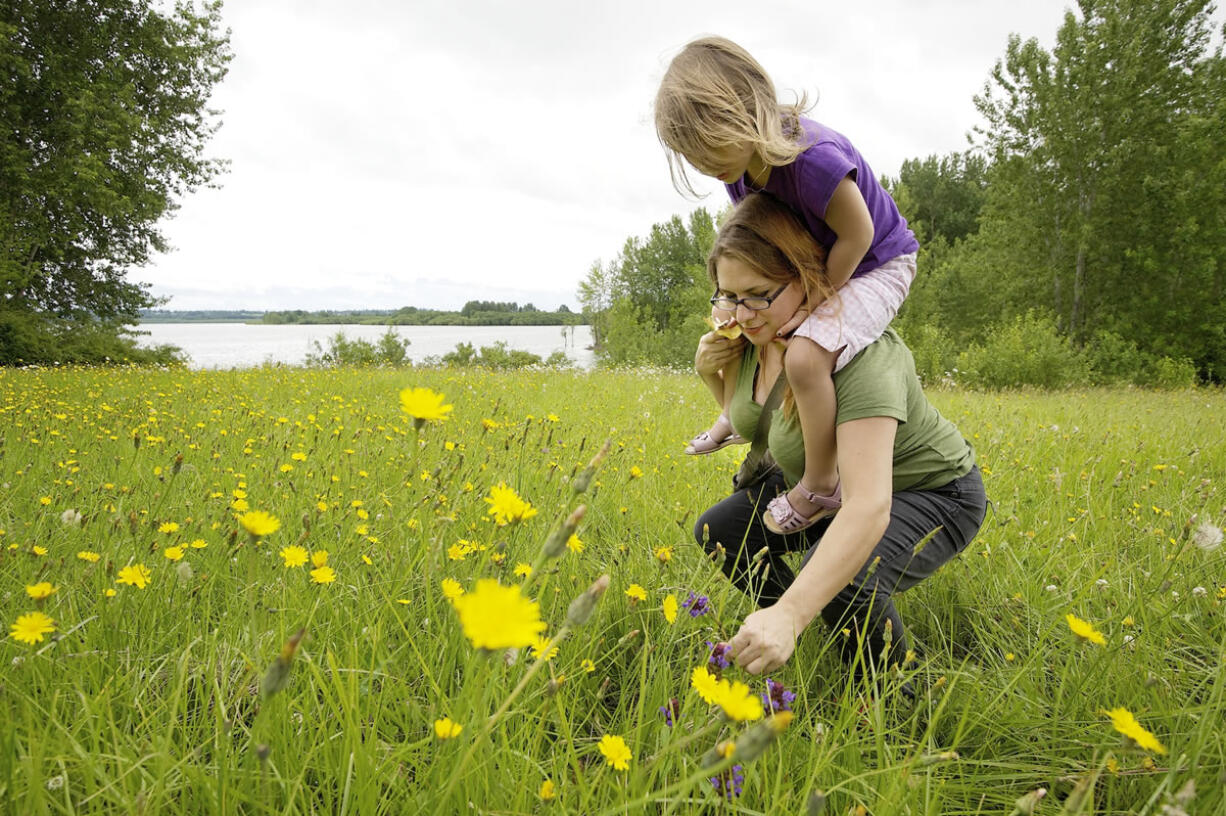 Anna Collins, right, helps her daughter, Ona Collins, 3, pick flowers during a walk at Vancouver Lake on Tuesday. The family from Arizona is visiting relatives in Vancouver.