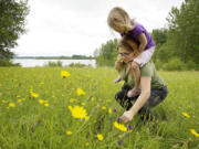 Anna Collins, right, helps her daughter, Ona Collins, 3, pick flowers during a walk at Vancouver Lake on Tuesday. The family from Arizona is visiting relatives in Vancouver.