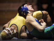 Mountain View's Benjamin Dixon will compete in the 3A wrestling state meet.