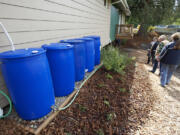 Rain barrels in the backyard collect stormwater runoff to irrigate the landscape.