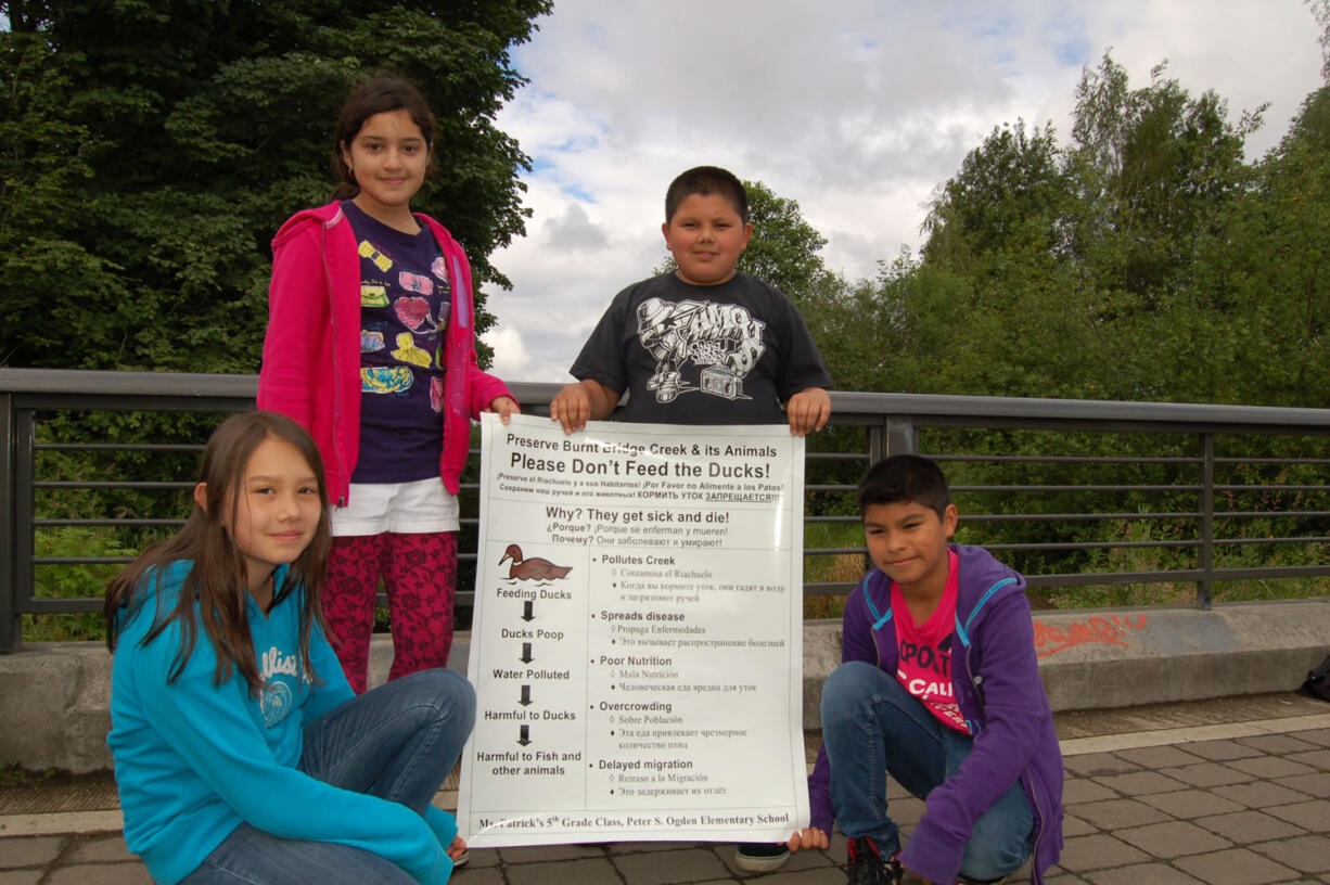 Burnt Bridge Creek: Fifth graders Emily Blakeman (left), Amayrani Bourgoin, Noah Bachman and Refujio Flores Perez want you to stop feeding the ducks.