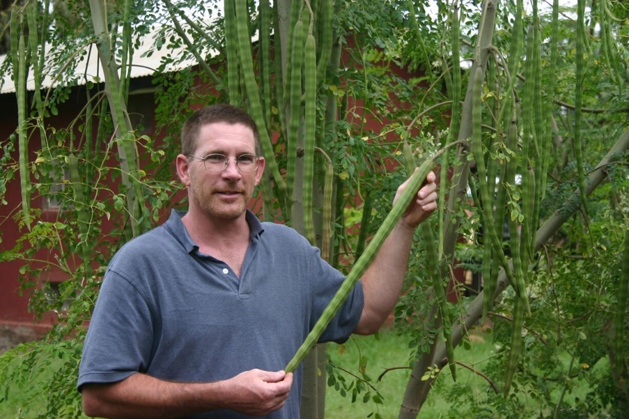 Rick Kemmer holds a seed pod from a moringa tree.