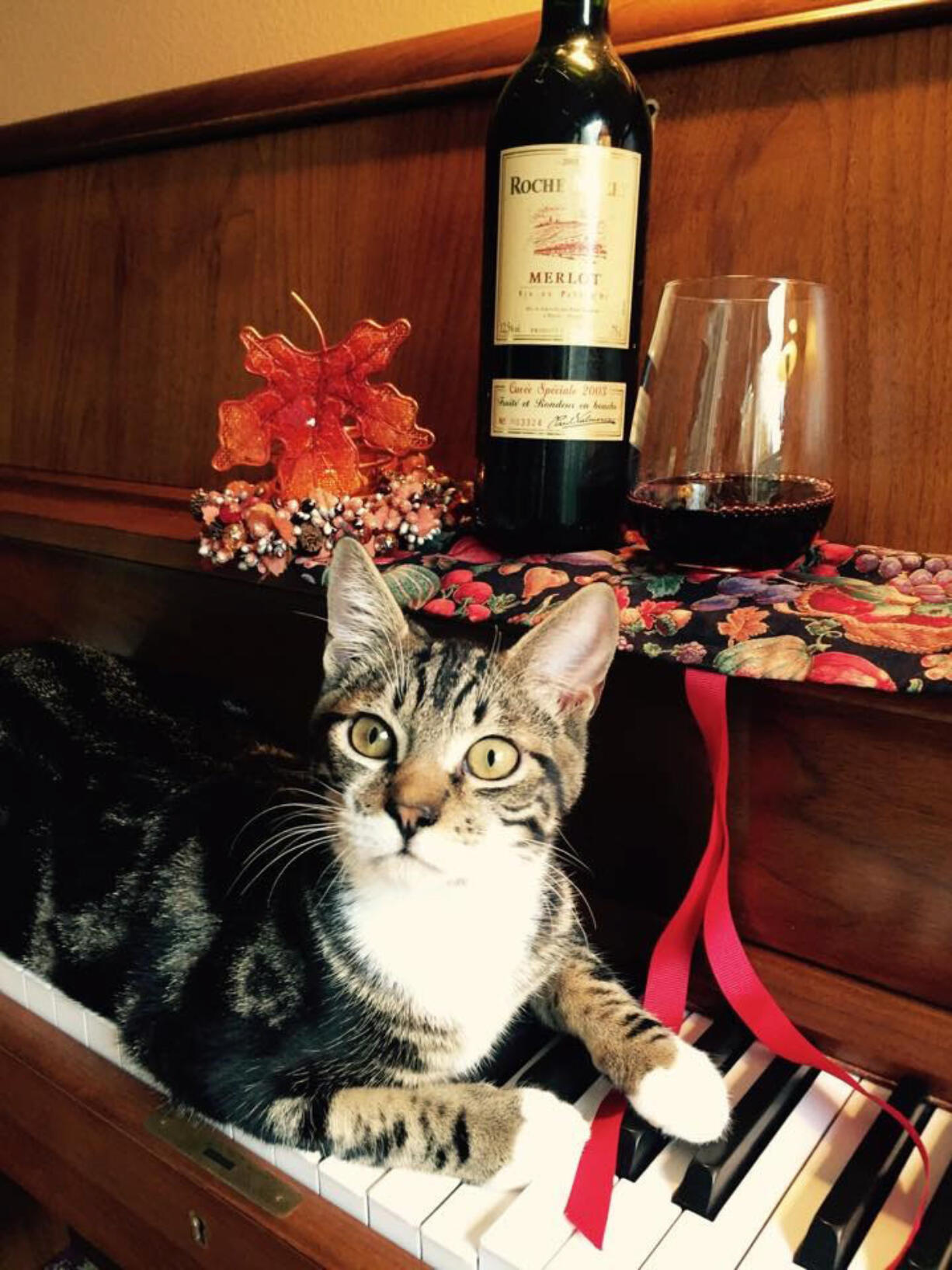 Esther Short: A cat on a piano at The French Door, which raised more than $200 for Furry Friends at the antique store&#039;s First Friday event on Dec.