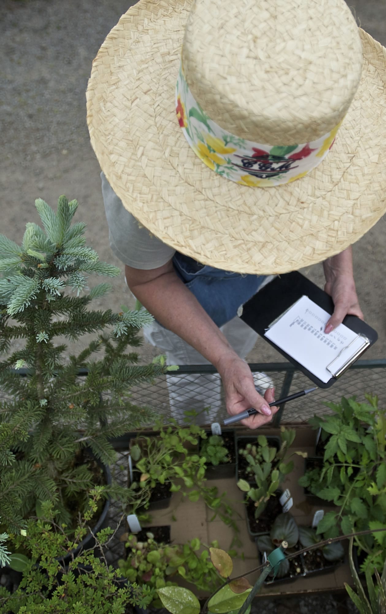 Master Gardner Foundation of Clark County volunteer Nancy Morgan checks people out at the Mother's Day Plant Sale at Heritage Farm on Sunday.