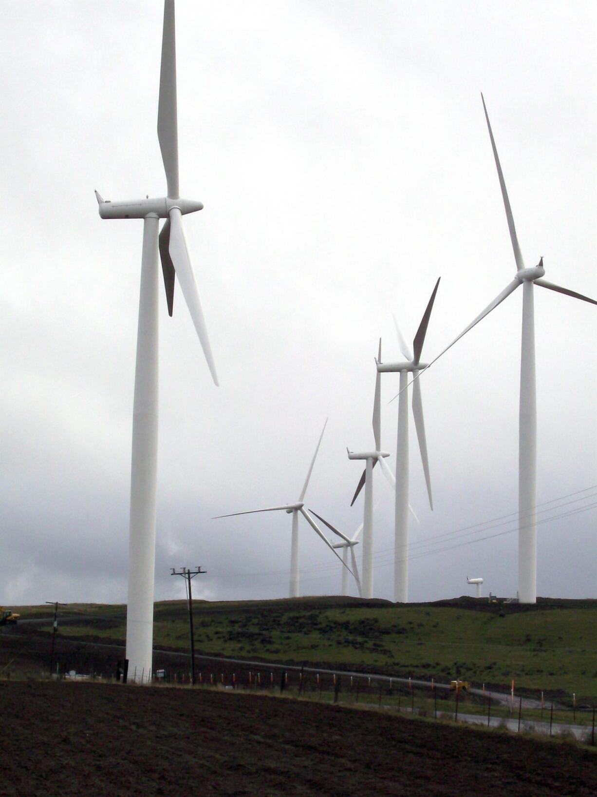 Turbines at Windy Point dwarf a utility pole near Goldendale.