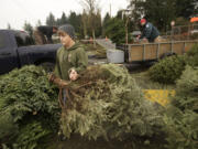 Boy Scout Colton Rasanen, 13, from Troop 328, drags a Christmas tree from a trailer toward a wood chipper during the annual recycling project.