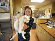 Erin Griffin, spokeswoman for the Humane Society for Southwest Washington, holds Manta Ray, a 6-year old, 19-pound cat, Friday afternoon.