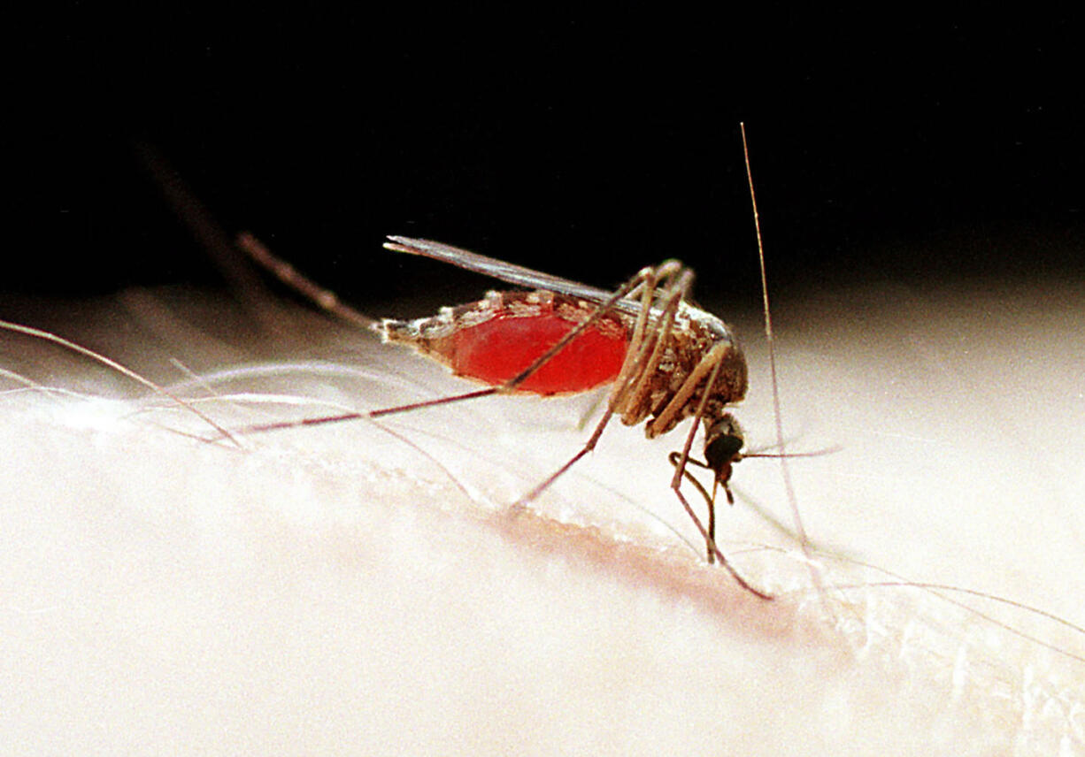 A teenager is the Clark County's first person to contract the West Nile virus since 2006.