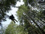 Adam Lapierre, a photographer for Gorge Magazine in Hood River, rides the new zip line under a canopy of 200-foot Douglas firs at Skamania Lodge in Stevenson.