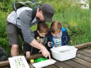 Old Evergreen Highway: Children learn to collect macroinvertebrates at the Columbia Springs wetland.