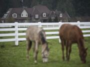 Houses on acreage in a pastoral setting attract families to the Brush Prairie-Hockinson ZIP code, the wealthiest in Clark County and the second-richest in the Portland metropolitan area.