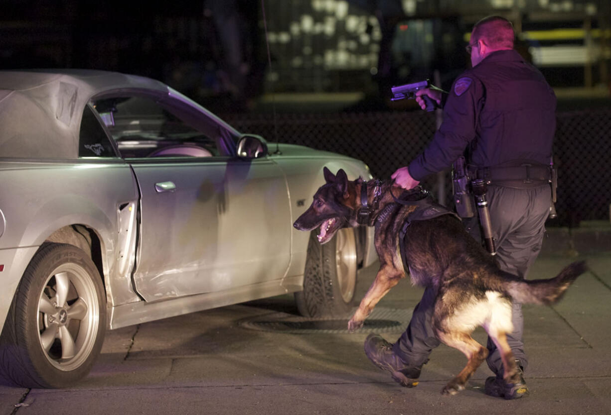 Deputy Brian Ellithorpe and Saver, a Clark County Sheriff's Office K-9 team, participate in a traffic stop at Northeast 137th Avenue and Fourth Plain Road this month.