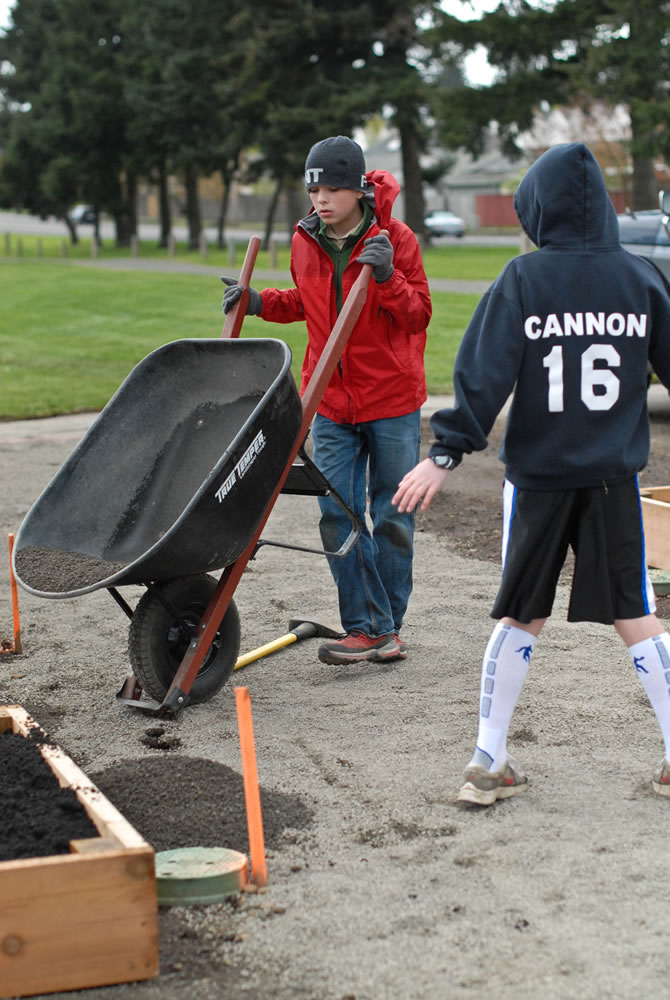 Fisher-Mill Plain: Boy Scout Troop 309 builds raised garden beds.