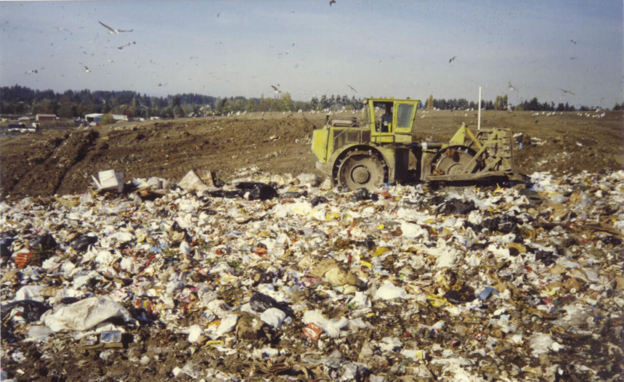 Many residents who lived near the Leichner Landfill remember the sights and smells of the former dump, with seagulls often circling overhead.