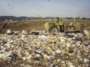 Many residents who lived near the Leichner Landfill remember the sights and smells of the former dump, with seagulls often circling overhead.