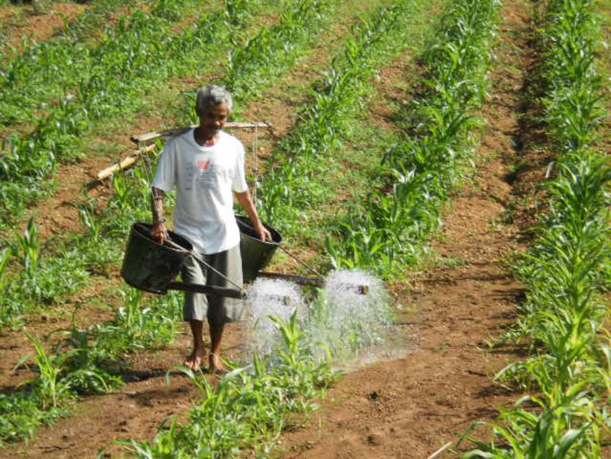 Photos by Amber Heckelman
Amber Heckelman's research in the Philippines will focus on documenting and measuring climate change resiliency at small, organic farms.