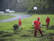 Inmates with the Larch Corrections Center's community work crew trim hedges and clear debris at the Gee Creek rest stop east of Battle Ground earlier this month.