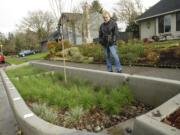 Susan Tredick lives in front of one of the county's new rain gardens.