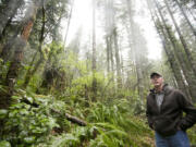 Mike Stevens, Camas' water services supervisor, walks through the Boulder Creek watershed. The city is preparing to harvest timber on forest it owns near two watersheds.