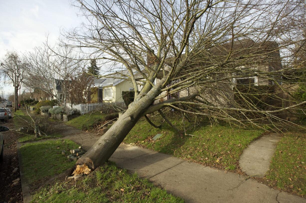 Cleanup continues in Clark County on Dec. 12, 2014, after high winds snapped trees and power lines. A tree rests on a house in the Carter Park neighborhood.