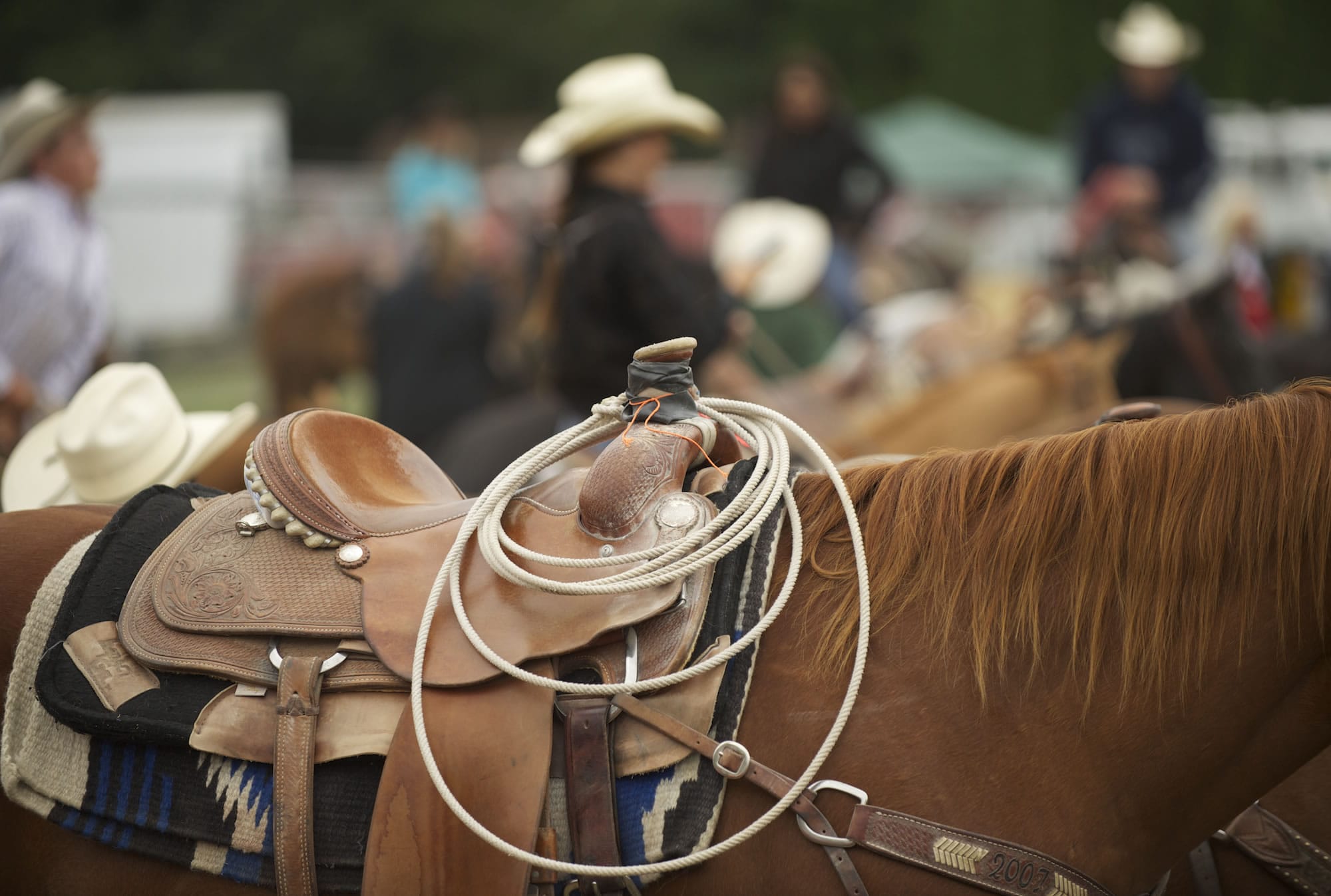 A roper and his horse are ready to go Saturday morning.