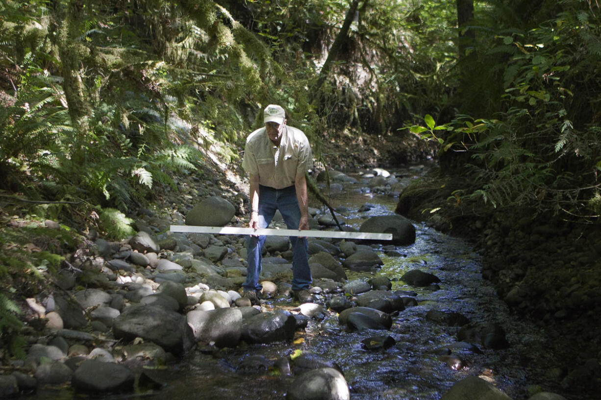 Dave Brown of Northwest Wild Fish Rescue uses a ruler to demonstrate the decreased level of Mill Creek North on his property outside Battle Ground.