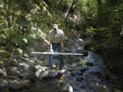 Dave Brown of Northwest Wild Fish Rescue uses a ruler to demonstrate the decreased level of Mill Creek North on his property outside Battle Ground.