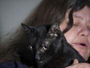 Julie Donahue-Hansen's therapy cat, Shade, went missing for two days about a week ago.