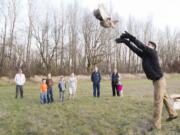 Jesse Serna of the Portland Audubon Society releases a barred owl Saturday near Vancouver Lake.