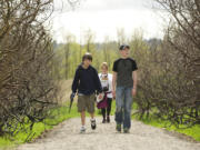 Birdwatching buddies Garret Foster, 14, left, and Noah Bumala, 12, with Garret's mom, Jill Foster, following, walk a section of trail at the Steigerwald Lake National Wildlife Refuge on Tuesday. The trail reopened last week after a fire burned nearly 150 acres of habitat in October.