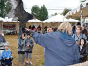 Ridgefield: A turkey vulture spreads its wings during BirdFest on Nov.