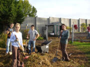 Hazel Dell: Ryan Evan, from left, WSU Master Gardener Bobbi Bellomy, Forrest Mock and Carrie Hanson-Muxlow spread bark chips in the Hazel Dell School and Community Garden.