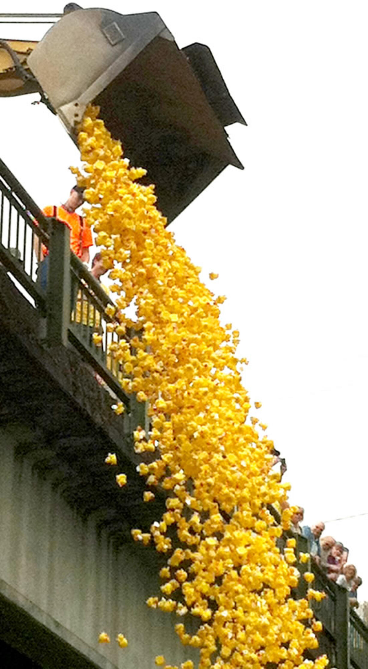 Washougal: The Camas-Washougal Rotary Club's Ducky Derby on the Washougal River got started with this massive, mechanized batch of ducks heading for the river.