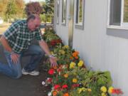 Battle Ground: River HomeLink principal Mark Clements is on his knees with admiration for the flowers that were donated to his expanding program by Chapmanis Greenhouse and Nursery.