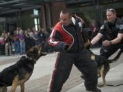 The Skamania County Sheriff's Office's new tracking dog, Arai, prepares to bite Clark County sheriff's Deputy Brian Ellithorpe during a demonstration of the tracking methods the dogs use. Vancouver Officer Ryan Starbuck watches as his dog, Ory, also latches on.