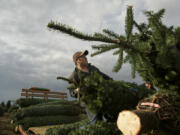 Felipe Gervecio, left, and Luiz Flores use a chain saw to cut trees, which then are sorted by height and species before shipping.