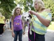 Foster dog Lulu gets gussied up for the dog parade by Madison Postles, 12, right, and her friend Gwyneth Hadfield, 11.