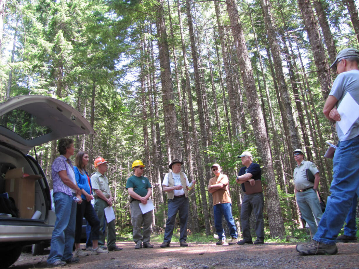 Local politicians, advocates and U.S. Forest Service officials discuss forest management Tuesday in the Gifford Pinchot National Forest in Skamania County after a meeting led by U.S. Rep.