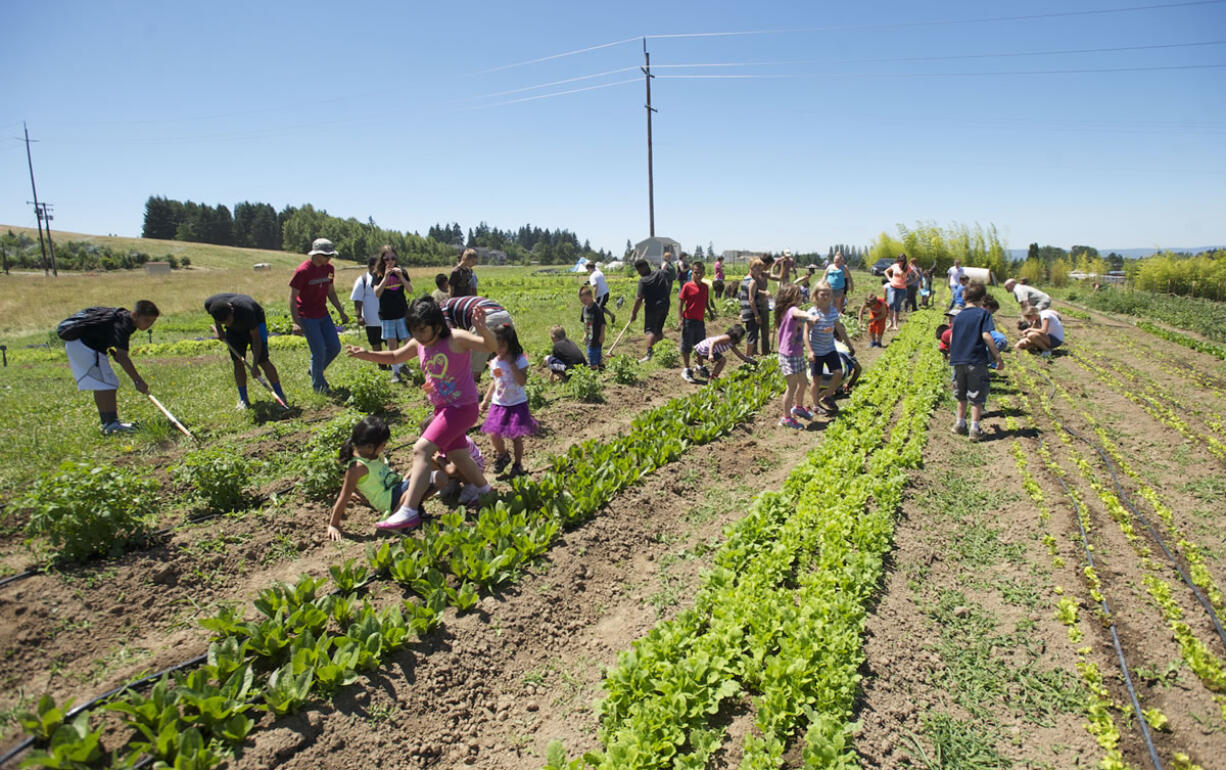 Children who have been homeless or impoverished often don't feel at home in regular classrooms; the At Home At School program strives to provide real-world educational experiences for them -- like planting and weeding at Clark County's 78th Street Heritage Farm.