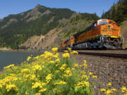 BNSF Railway
BNSF Railway plans to invest $125 million in maintenance and capital improvements to its track system in Washington this year. The work has resulted in about 300 new hires in the state, including nearly 100 from the Vancouver area, according to the company.