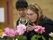 Geoffrey Fuerte-Stone, left, and Sarah Randall, both from Vancouver, enjoy the Fort Vancouver Rose Society rose show on Saturday.