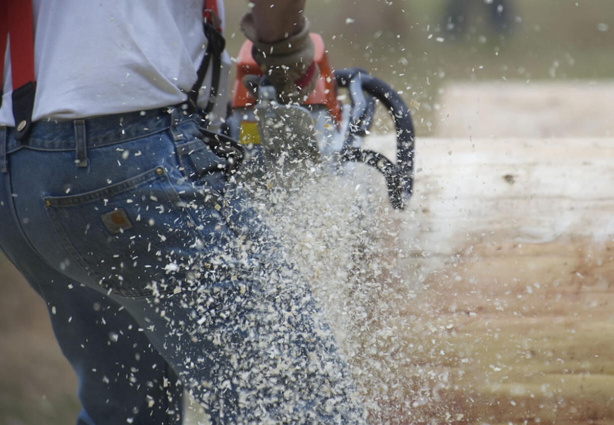 Sawdust flies as Charlie Davis, of Amboy, takes a run at the Chain Race during the annual Amboy Territorial Days celebrating Saturday local logging and pioneering history in Amboy.