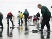 Clam digging: Lots of fun at the beach and with a tasty treat to take home.