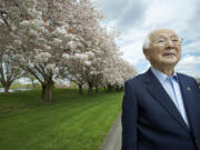 Atsushi &quot;John&quot; Kageyama, the first president of Matsushita Kotobuki Electronics Industries in Vancouver, visits the 100 Shirofugen cherry trees he donated to Clark College and Vancouver in 1990 Wednesday. He will be a guest of honor at today's Sakura Festival.