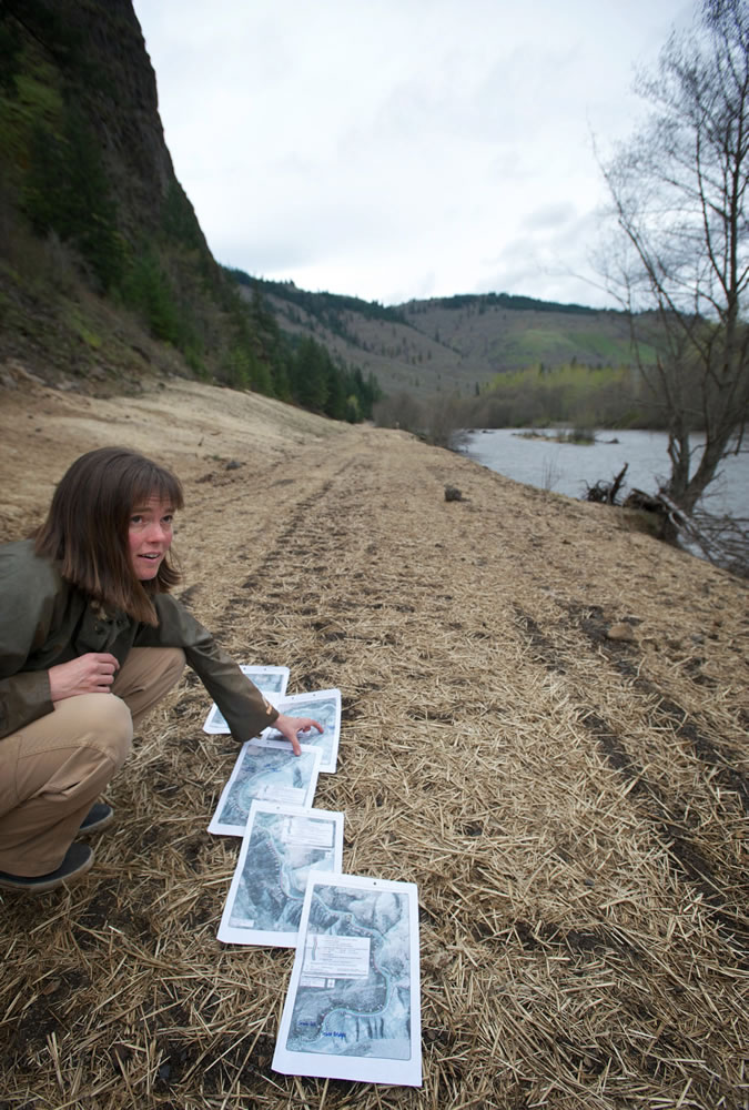 Columbia Land Trust stewardship lead Lindsay Cornelius shows the path of an old haul road being removed along the Klickitat River in a broad habitat restoration project.