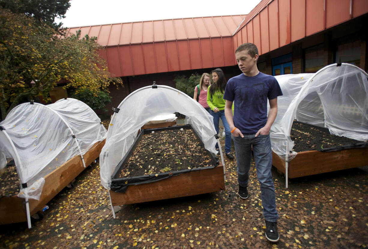 Wy'east Middle School students (front to back) Carter Wood, Reilly Dale, and Grace Taylor, all 13, examine the raised bed gardens they helped create with a Vancouver Watersheds Alliance grant.