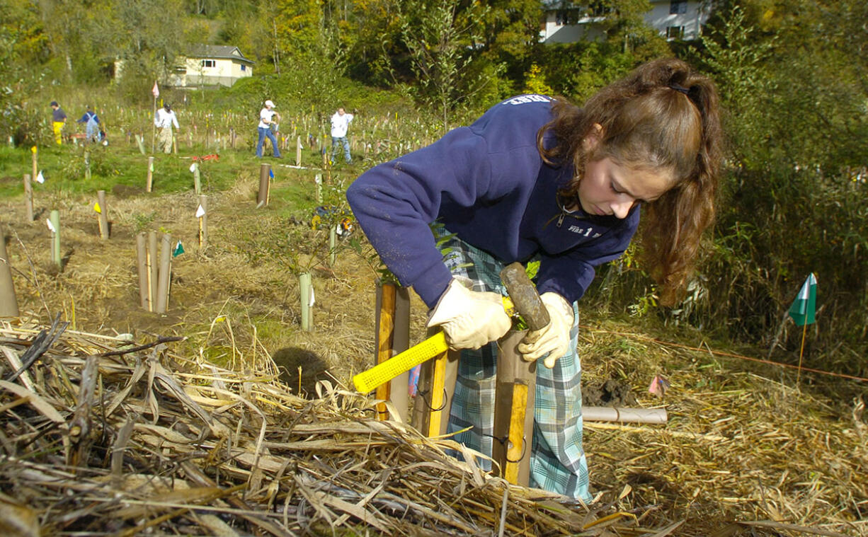 Brittany Thompson-Baxter, then 16 and a member of the Prairie High School ROTC, spent a Saturday morning in 2004 planting trees along Salmon Creek as part of Make a Difference Day.