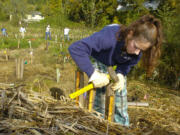 Brittany Thompson-Baxter, then 16 and a member of the Prairie High School ROTC, spent a Saturday morning in 2004 planting trees along Salmon Creek as part of Make a Difference Day.