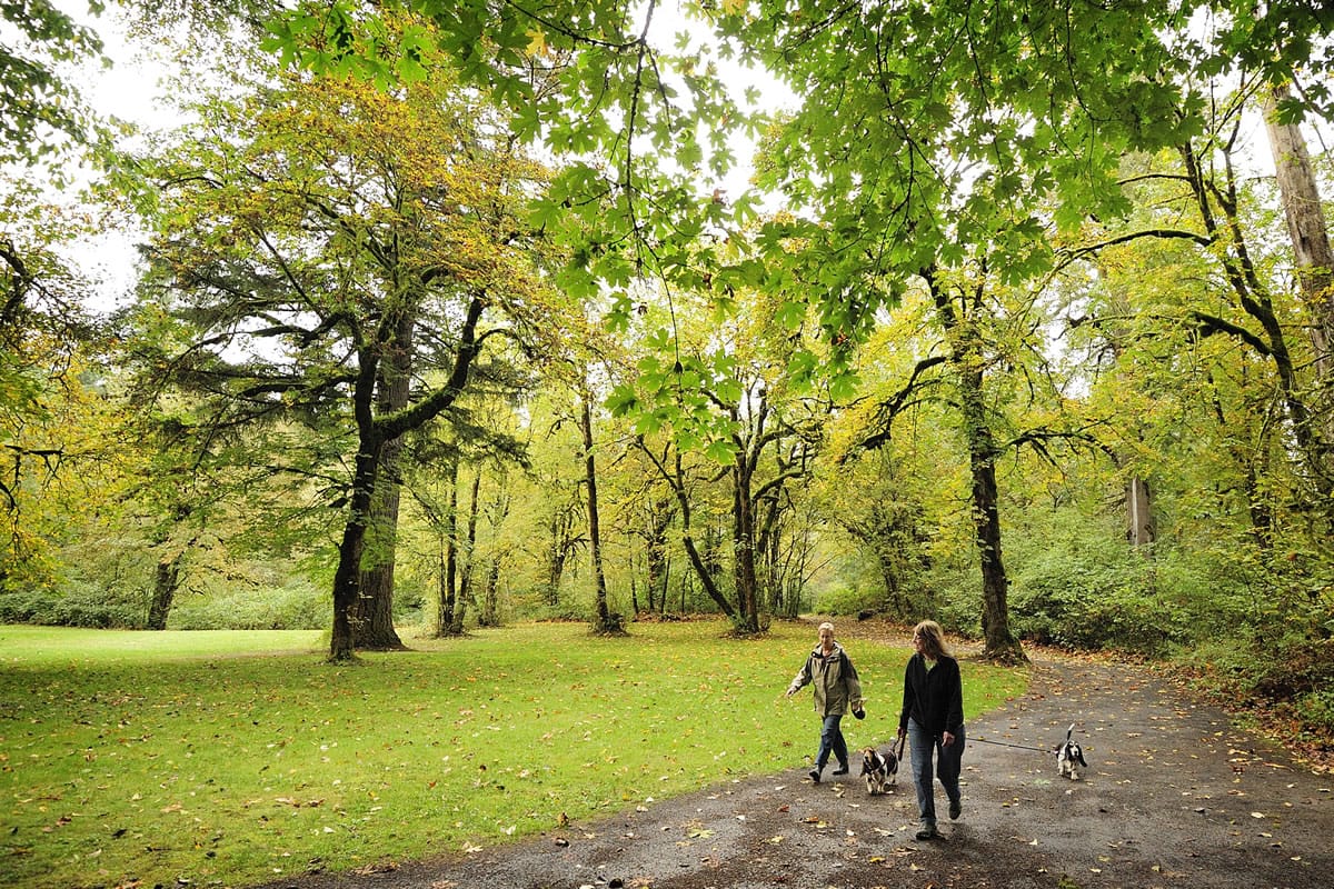 Karin Pearson-King, right, of Vancouver, walks with her friend, Gudrun Spies-Seyfarth of Nittenau, Germany and Karen's basset hounds, Lucy, left, and Sasha, right, during a visit to Lewisville Park in October 2011 in Battle Ground.